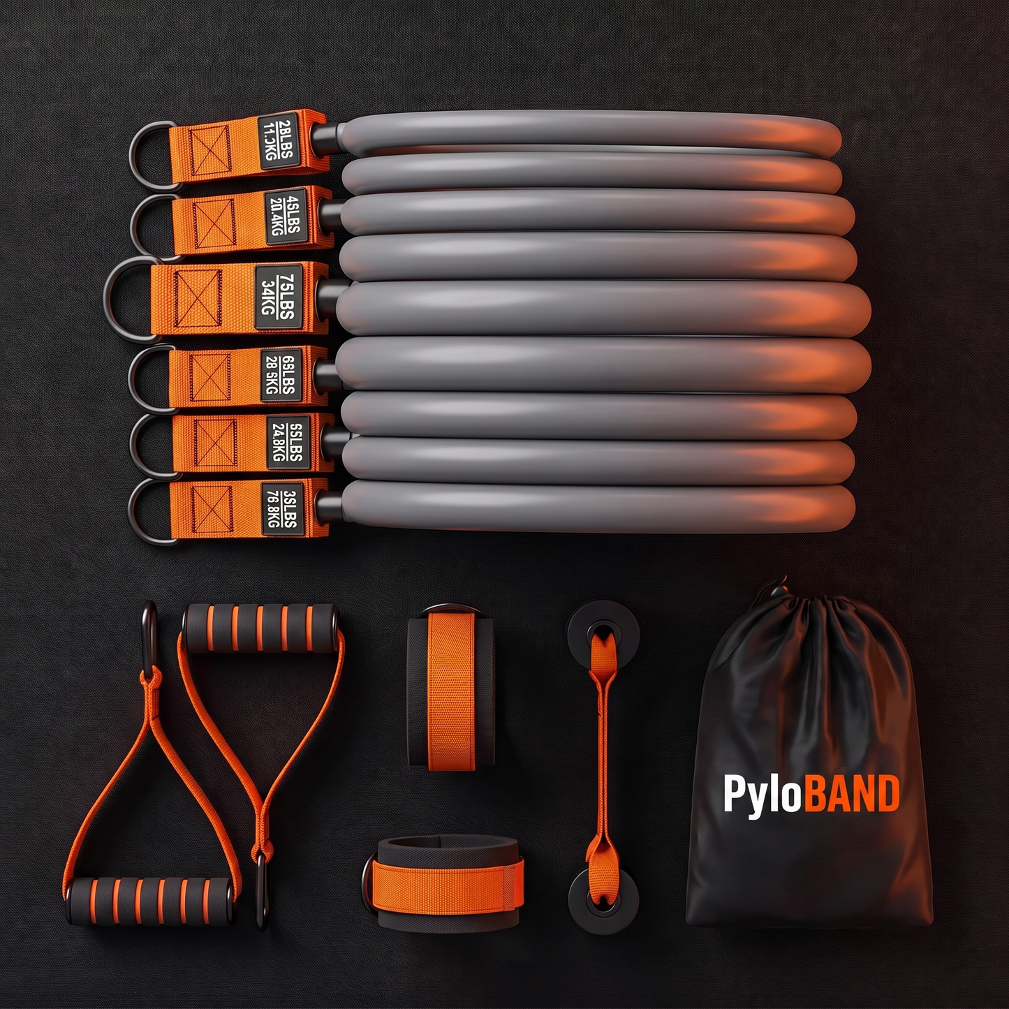PyloBAND PRO 300